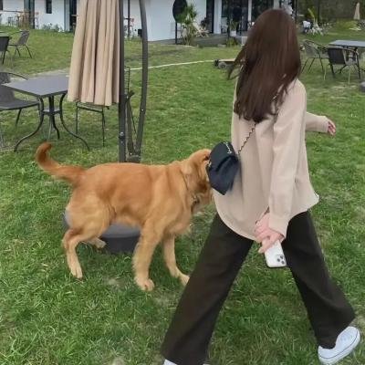 楚门之鼠